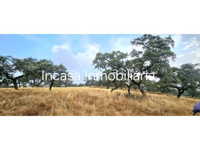 Alquiler de finca rústica en Valverde del Camino photo 0