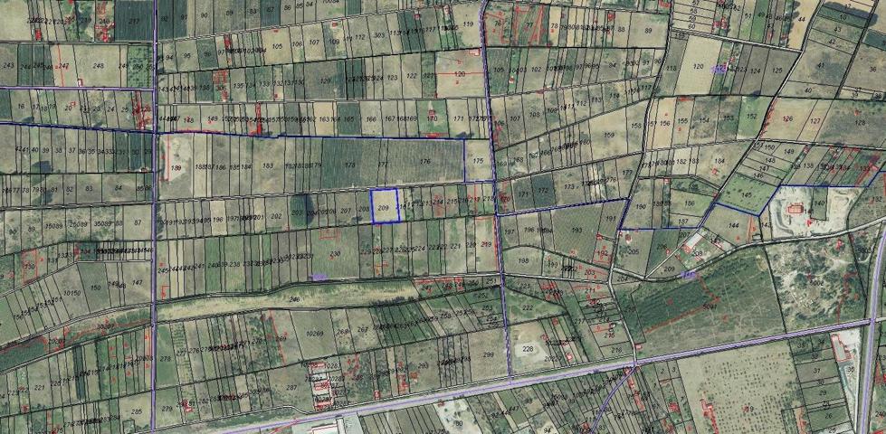 TERRENO RÚSTICO - CHANAS photo 0