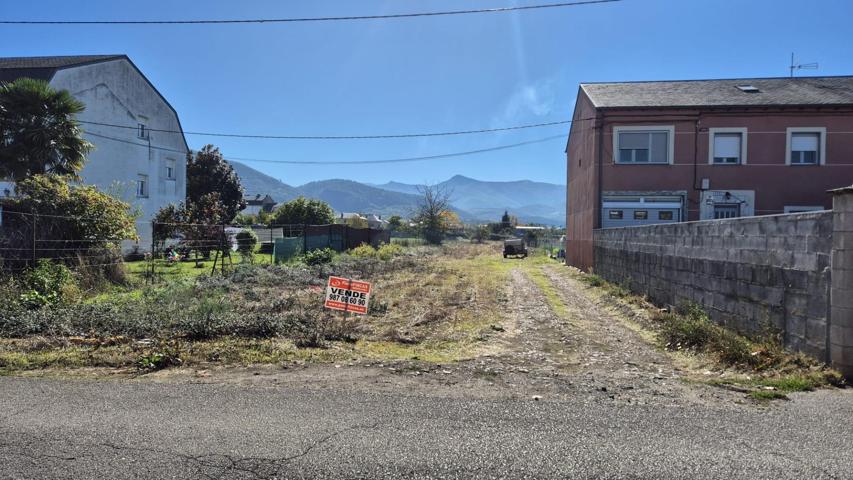 FINCA RUSTICA EN LA PLACA photo 0