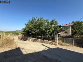 Se vende antigua granja y dos casas para reformar en el pueblo de Salas Bajas. photo 0