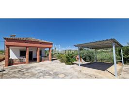 CHALET RUSTICO EN TURIS photo 0
