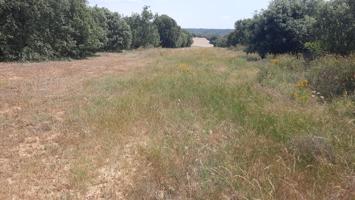 Terreno Urbanizable En venta en Camino Del Monte, 0, Villares De Orbigo photo 0