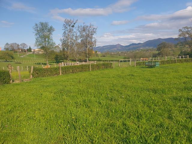 Terreno Urbanizable En venta en Robleu, 0, Nava photo 0