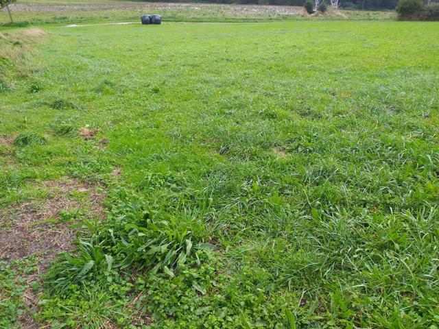 Terreno Urbanizable En venta en Barrio La Menudina, 0, Carreño photo 0