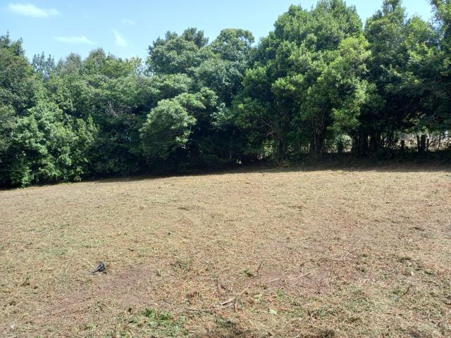 Terreno Urbanizable En venta en San Cristobal, 0, Cudillero photo 0