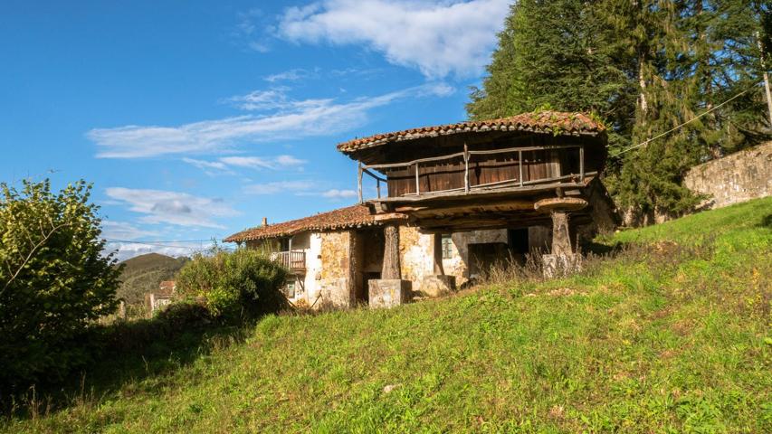 Casa De Campo En venta en La Vega, Grado photo 0