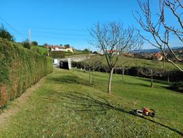 Terreno Urbanizable En venta en Camino De Los Campones, 2, Periurbano, Gijón photo 0