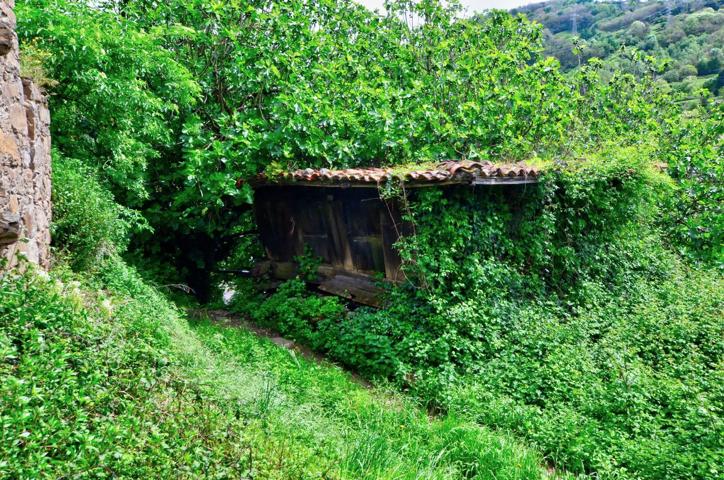 Casa De Campo En venta en Polígono 18, 29692, Ujo - Cenera, Mieres Del Camino photo 0