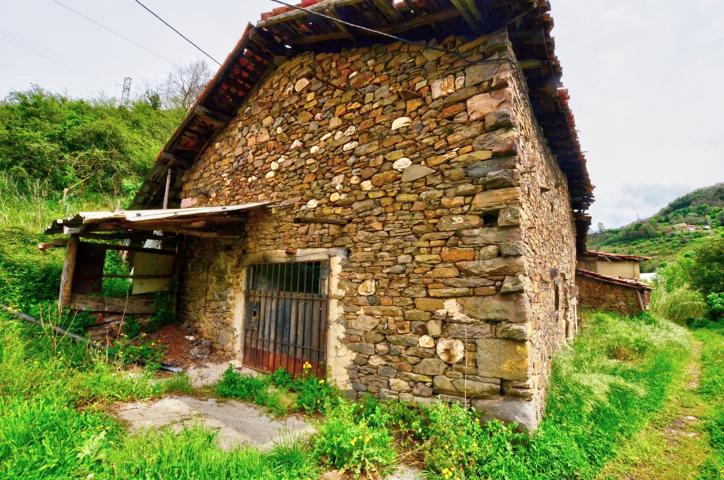 Casa De Campo En venta en Polígono 18,, 29691, Ujo - Cenera, Mieres Del Camino photo 0