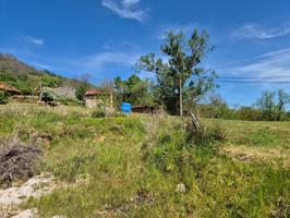 Terreno Urbanizable En venta en Lugar San Martin, 26, Cangas De Onís photo 0