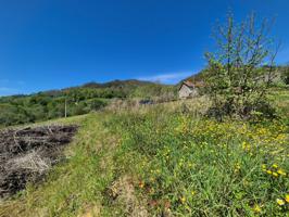 Terreno Urbanizable En venta en Lugar San Martin, 26, Cangas De Onís photo 0