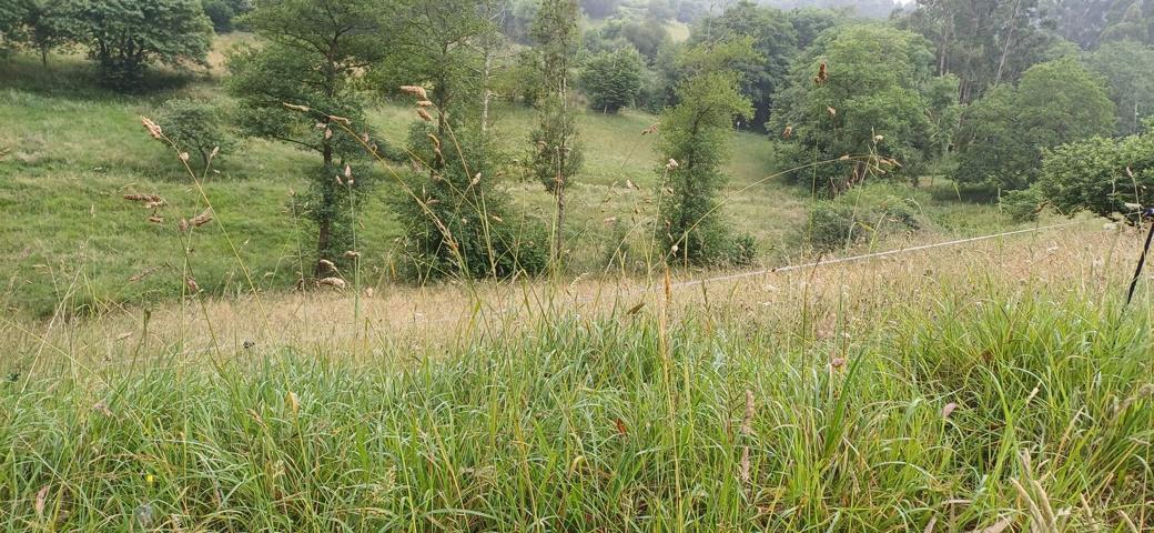 Terreno Urbanizable En venta en Caravico., Illas Avilés, 0, Illas photo 0