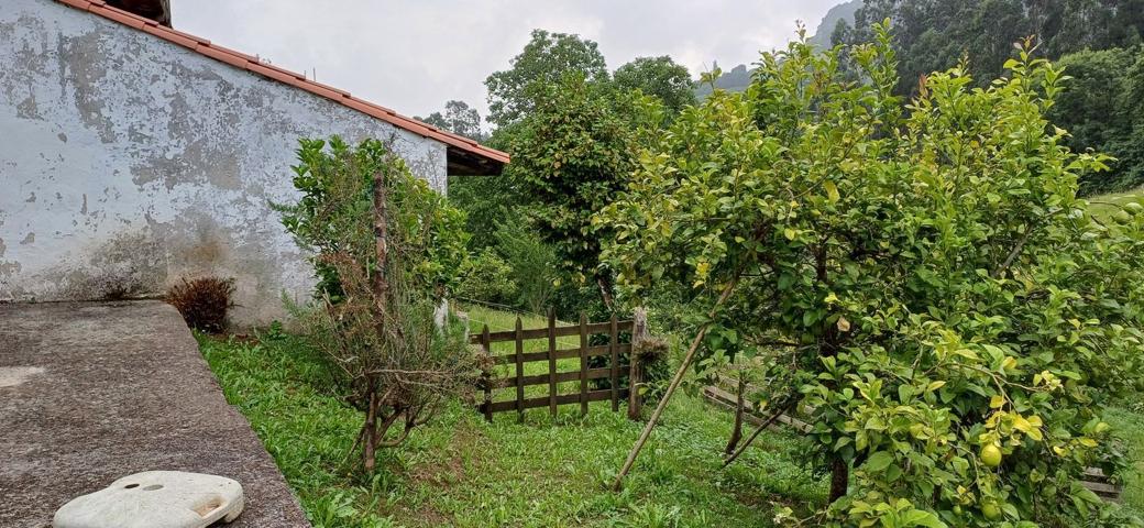 Terreno Urbanizable En venta en Calavero, 0, Illas photo 0