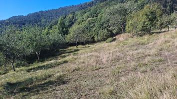 Terreno Urbanizable En venta en Valdedios, Parroquias Suroccidentales, Villaviciosa photo 0