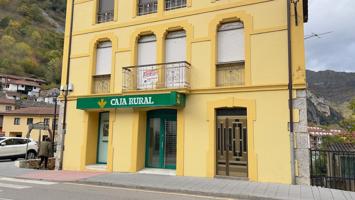 Piso En venta en Cl Narciso H.vaquero, Somiedo photo 0