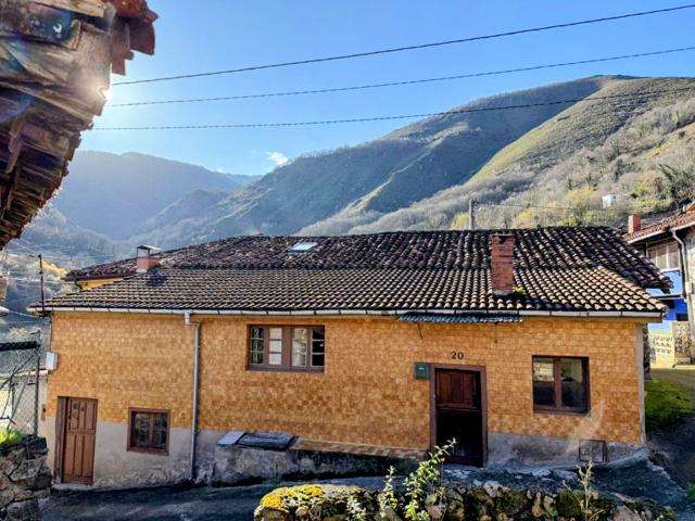 Unifamiliar Pareada En venta en Lg Coañana, Quirós photo 0