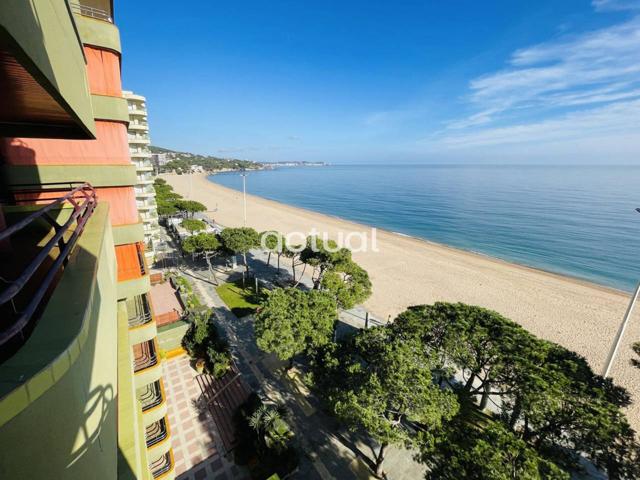 APARTAMENTO EN PRIMERA LÍNEA DE PLAYA photo 0