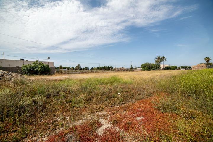 Suelo sin edificar de 7.500 m2 en Los Parrales cerca del Camping de Aguadulce. photo 0