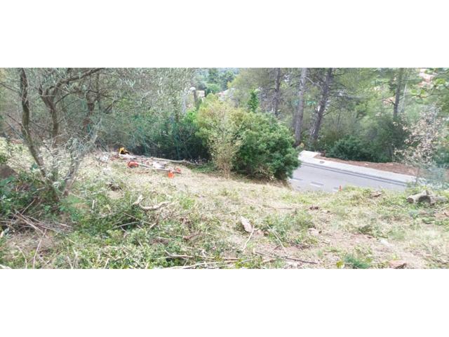 Terreno en Font Pineda photo 0