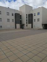 EN EL PALMAR MUY BIEN SITUADO photo 0