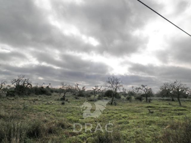 Otro En venta en Santanyí photo 0