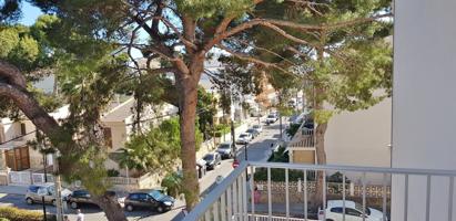 Piso En alquiler en Playa De Palma, Palma De Mallorca photo 0