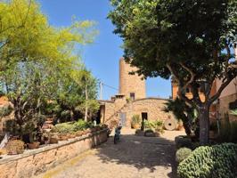 Casa En alquiler en Calle De Cabrit I Bassa, Algaida photo 0