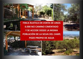 FINCA RUSTICA N LA SELVA DEL CAMP CON UNOS 6.000 M2, POZO PROPIO DE AGUA, 2º POZO COMPARTIDO photo 0