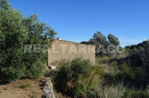 TERRENO AGRARIO EN VENTA EN RIUDECANYES photo 0