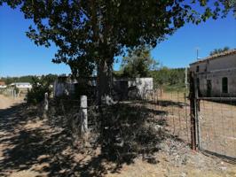 Venta de finca rústica en Ciudad Rodrigo photo 0