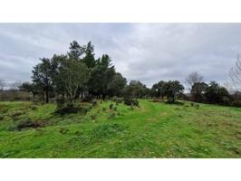 Terreno en venta en Ciudad Rodrigo photo 0