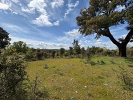 Venta de Terreno en Ciudad Rodrigo photo 0