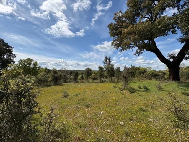 Venta de Terreno en Ciudad Rodrigo photo 0
