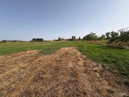 Venta de un terreno en Conejera. photo 0