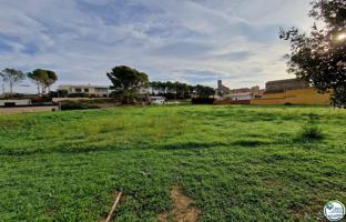 Terrenos Edificables En venta en Garriguella photo 0