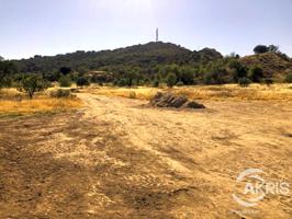 TERRENO EN CHILOECHES photo 0