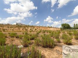 **TERRENO VENTA EXCLUSIVA INVERSORES EN DAGANZO** photo 0