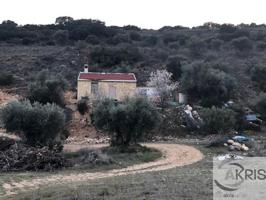 TERRENO RUSTICO EN CARABAÑA photo 0