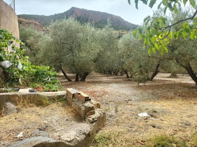 Casa de campo-Masía en Venta en Lecrin Granada Ref: cor101b photo 0