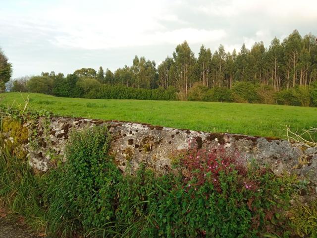 Casa De Campo En venta en Lamuño, 1, Cudillero photo 0