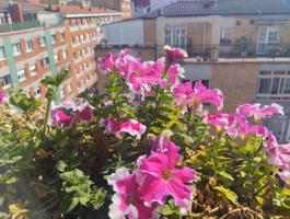 Piso En venta en Calle Eleuterio Quintanilla, El Llano, Gijón photo 0