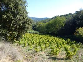 Casa En venta en Sant Iscle de Vallalta photo 0