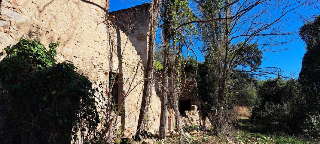 Casa En venta en Sant Feliu de Buixalleu photo 0
