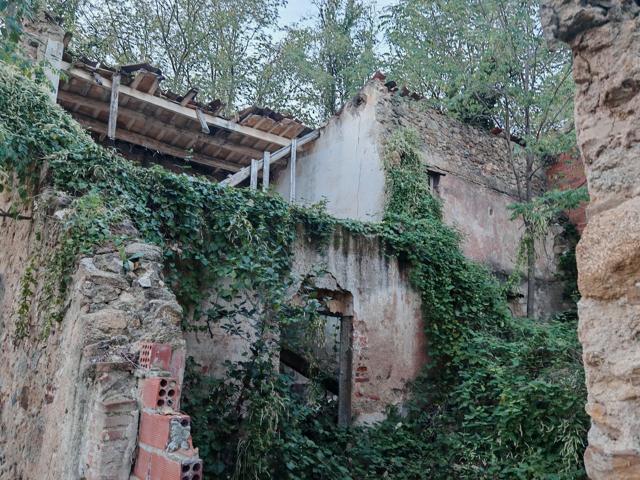 Casa En venta en Sant Feliu de Buixalleu photo 0