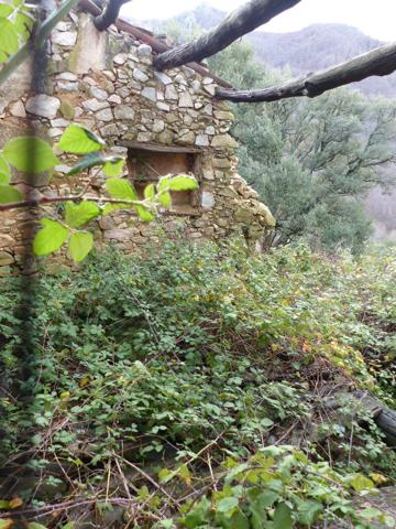 Casa En venta en Riells i Viabrea photo 0