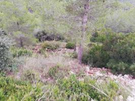 Terrenos Edificables En venta en Costa Cunit, Castellet I La Gornal photo 0