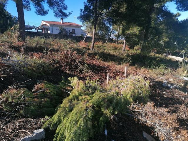 Solar Esquinero en Valldemar photo 0