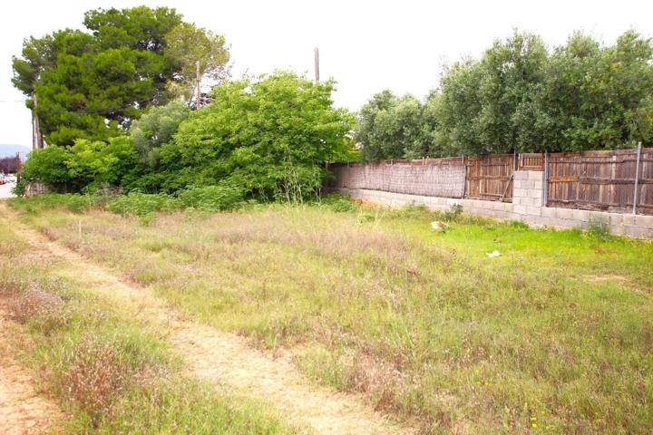 '¡Oportunidad Única! Solar en Santa Oliva Pueblo, Tarragona - Ideal para tu Proyecto de Ensueño' photo 0