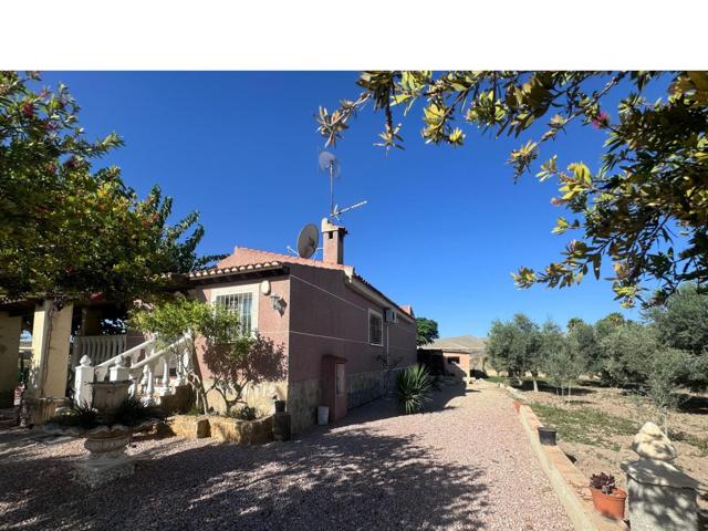 Chalet con gran terreno de 3.000 m2 y piscina privada photo 0