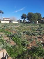 🏡 GRAN OPORTUNIDAD – TERRENO URBANO DE 2 TAULLAS (2.236 m²) photo 0